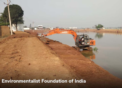 Environmentalist Foundation of India