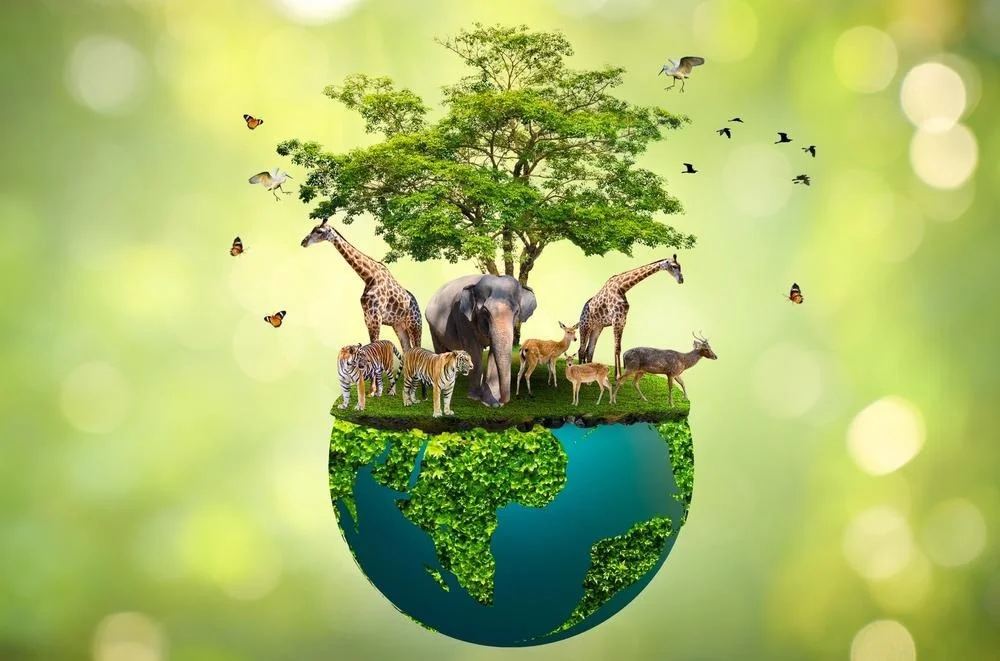 Natural resources conservation projects