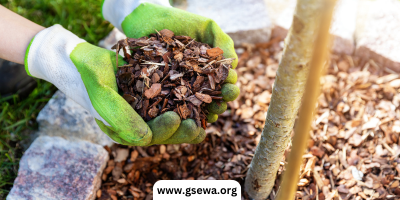 Mulch Matters | G-Sewa